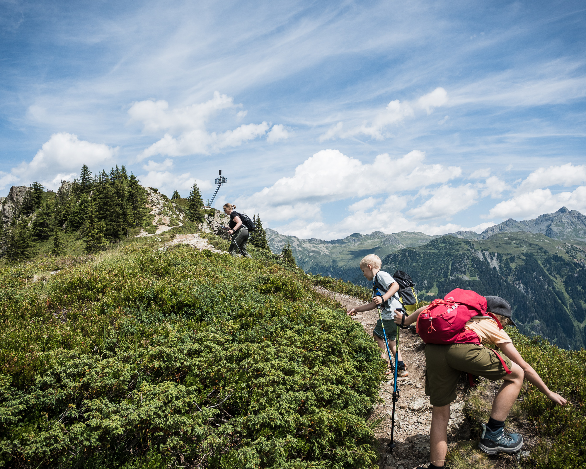 A path on the ridge of a mountain with lots of bushes with blueberries. Two kids are picking blueberries while a woman is further ahead.