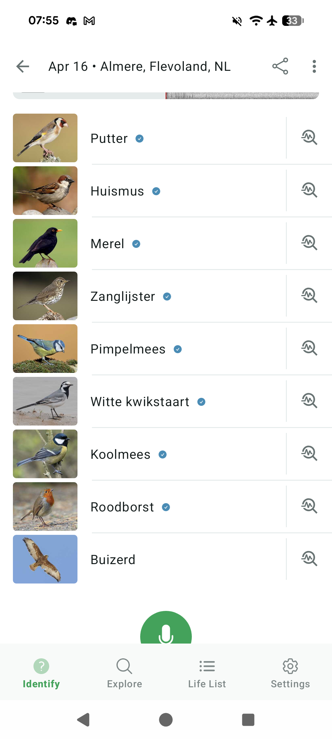 Screenshot of merlin bird id with birds listed
